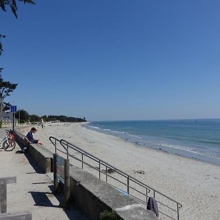 Appartement Neuf 2-4 Pers, Terrasse Et Jardin, A 400M De La Plage Du Rohaliguen - Fr-1-639-35 Sarzeau Ngoại thất bức ảnh